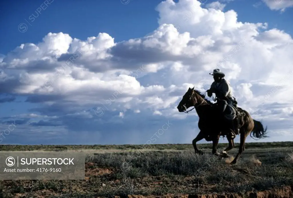Horse rider riding horse in a field against cumulus clouds