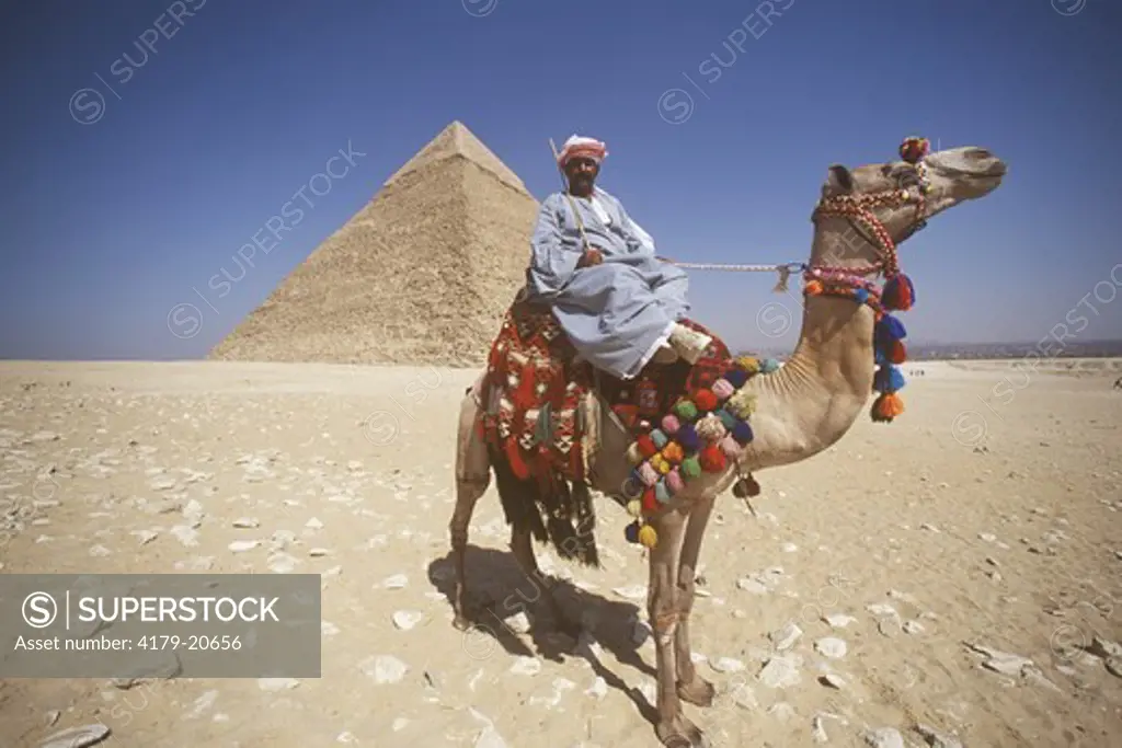 Bedouin and Camel at Giza Pyramids, Cairo, Egypt