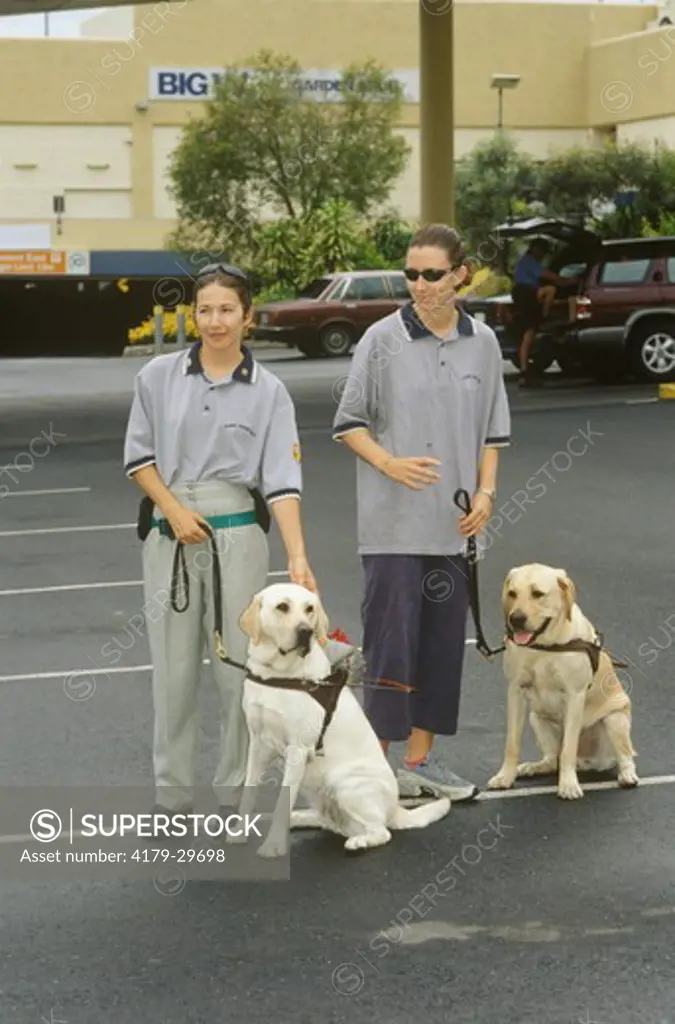 Australian Guide Dogs with Trainers