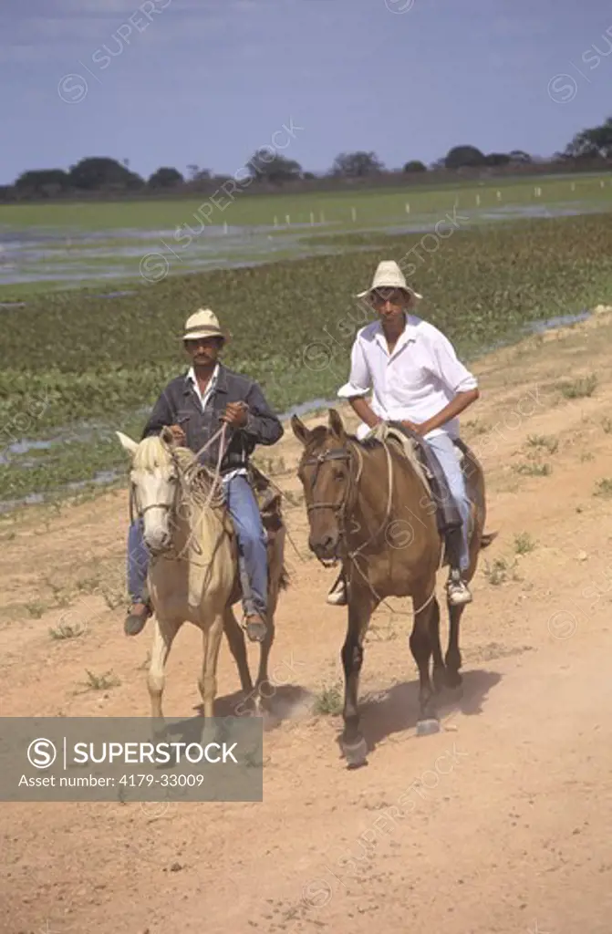 Working Cowboys, Caballeros, Hato Cedral, Venezuela