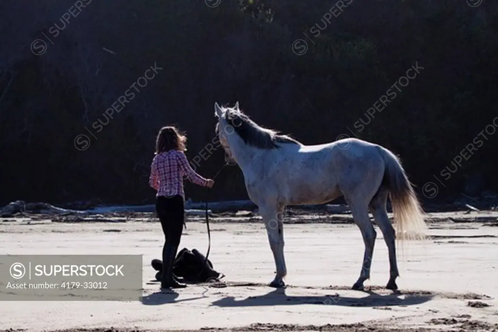 Lady rider dismounted, with Arabian Horse on lead, back-lit; saddle on sand; Northern California beach, USA