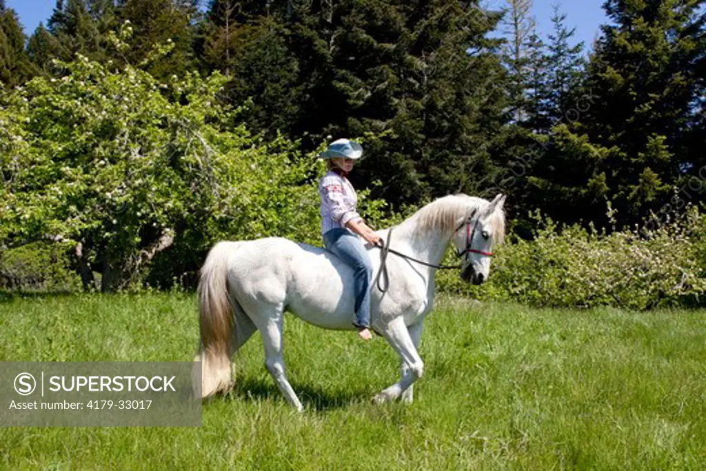 Arabian Horse and Rider (Mosh) in meadow by apple tree in bloom; Northern California, USA (Released)