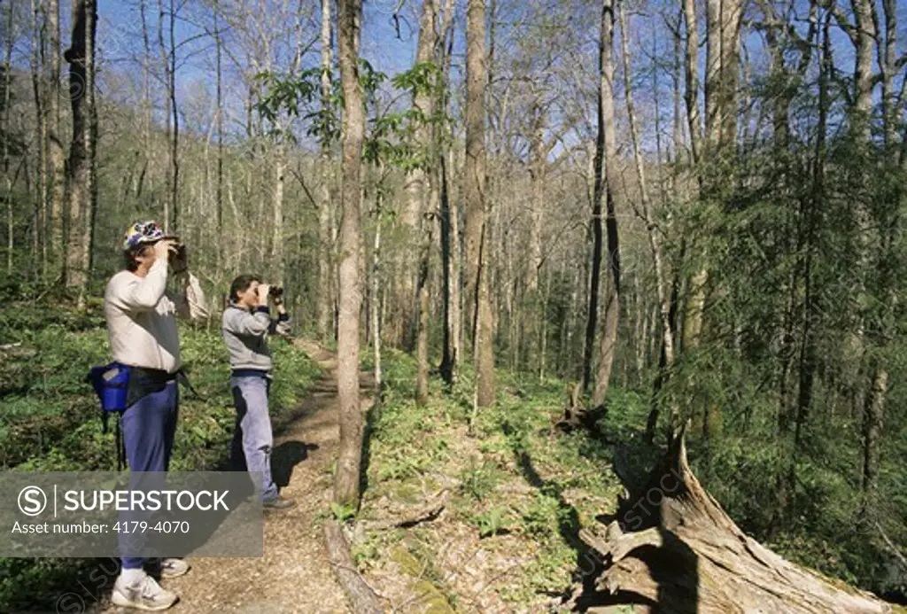 Bird Watchers, Joyce Kilmer Memorial Forest, NC, North Carolina
