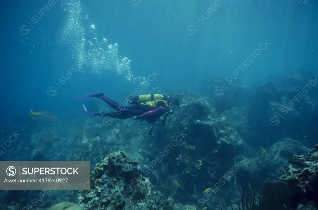 Diver                    Guadeloupe