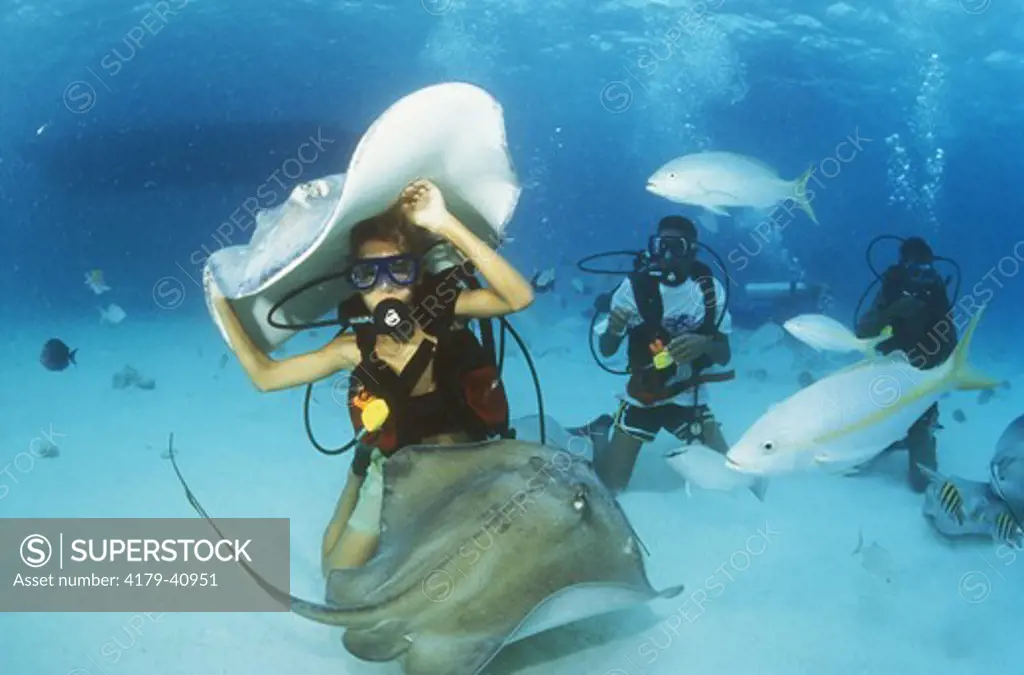 Cayman Is. Boy Scouts hand feed Stingrays (D. americana), Grand C., BWI