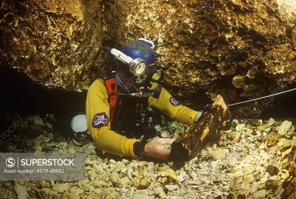Cave Diver w/ Mastodon Bones, Mammoth Spring, Florida, World's largest artesian Spring
