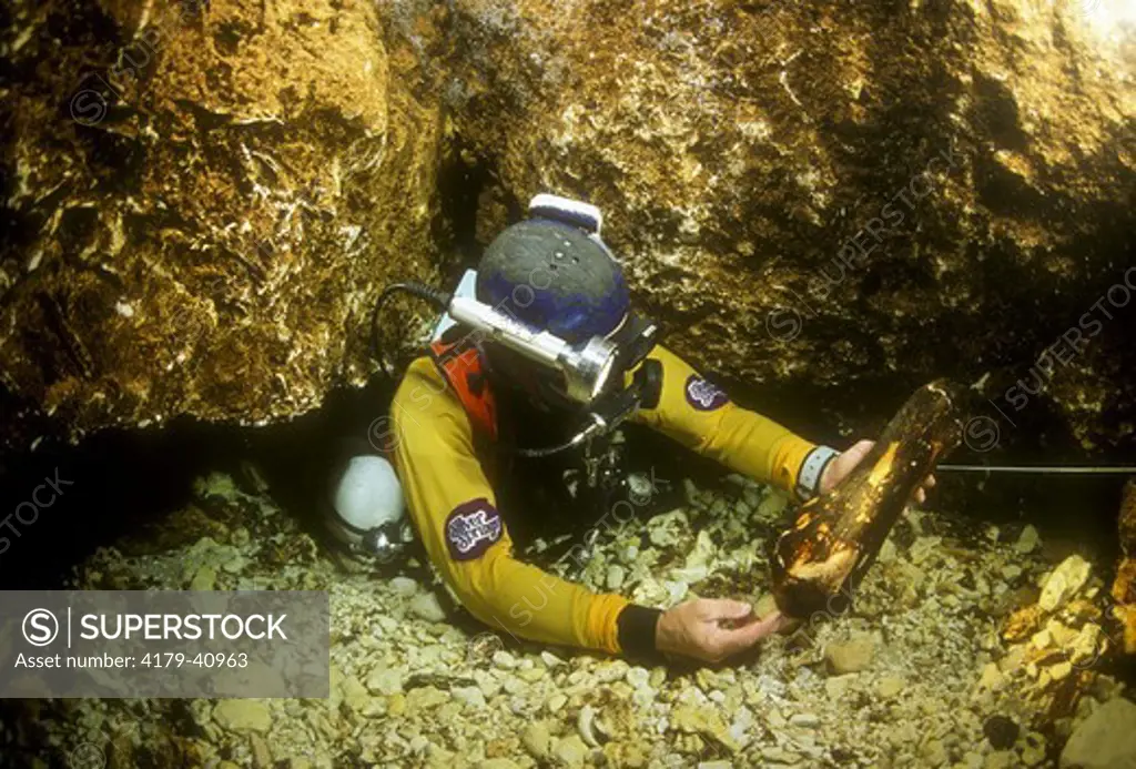 Cave Diver w/ Mastodon Bones, Mammoth Spring, FL, World's largest Artesian Spring