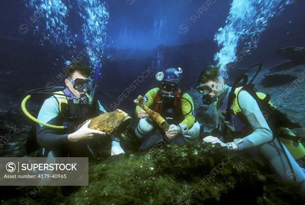 Divers w/ Mastodon Bones, Explorer Scouts, Silver Spring, FL