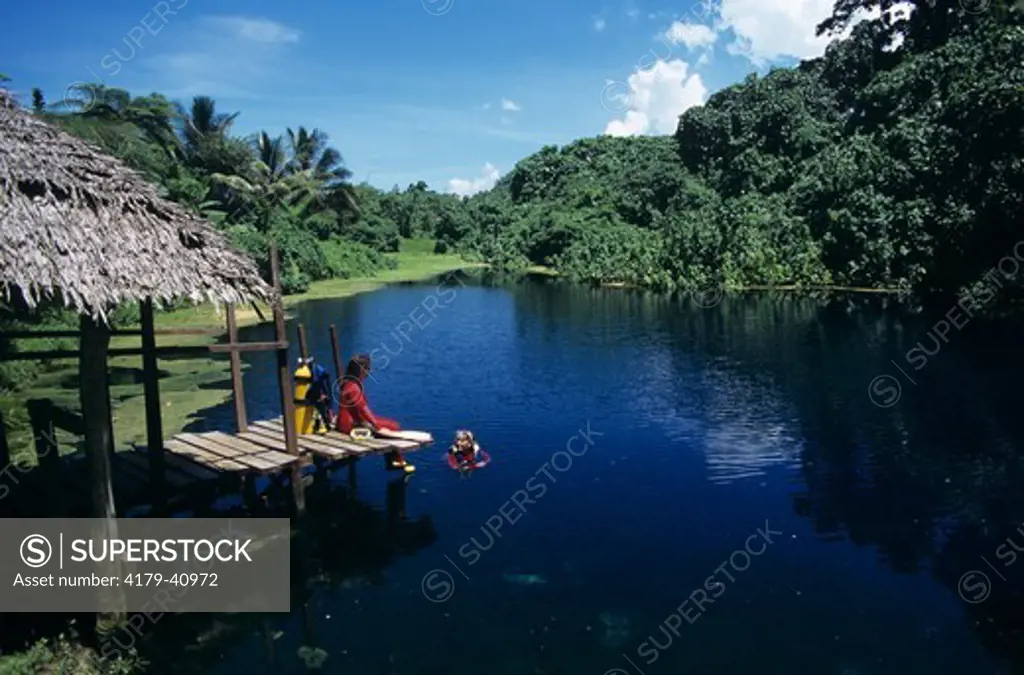 Jackie's Blue Hole, fresh Water/ Grass Mat Pool, Espiritu Santo, Vanuatu