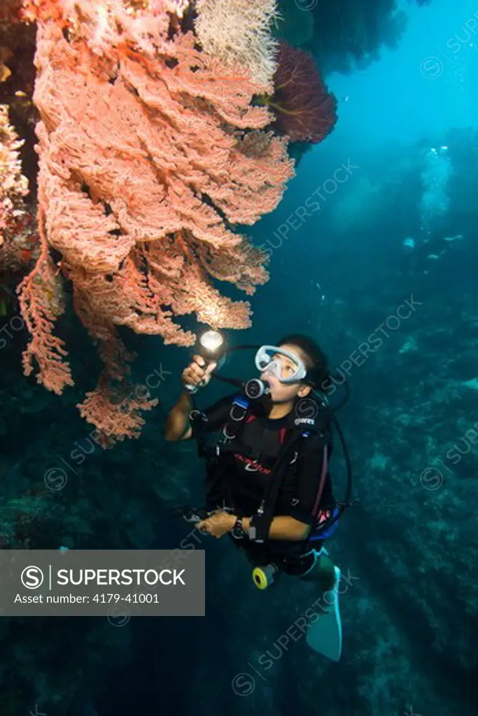 MR Diver on beautiful Reef System with Walls, Cuts and Swim-throughs, West Passage North near Panapompom Island in the Conflict Group,  Papua New Guinea