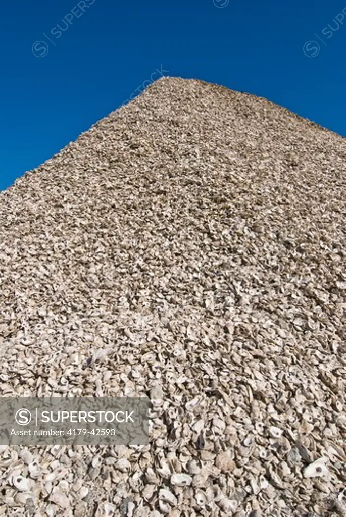 Oyster shells ready to be returned to Apalachicola Bay to form new oyster beds, Apalachicola, FL