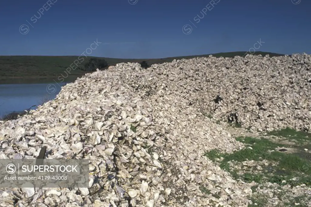 Mound pile of oyster shells at Schooner Bay, Drakes Estero, Point Reyes National Seashore, Marin County, California