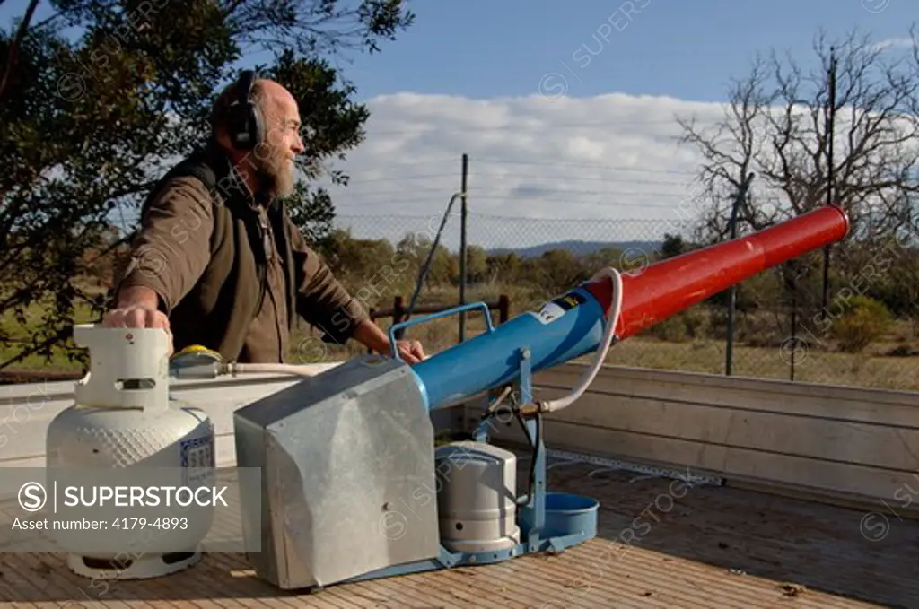 Gas Gun against 10 to 20.000 of Little Corella (Cacatua sanguinea) invading small Town of Pichi Richi (1386 habitants) Flinders, South Australia