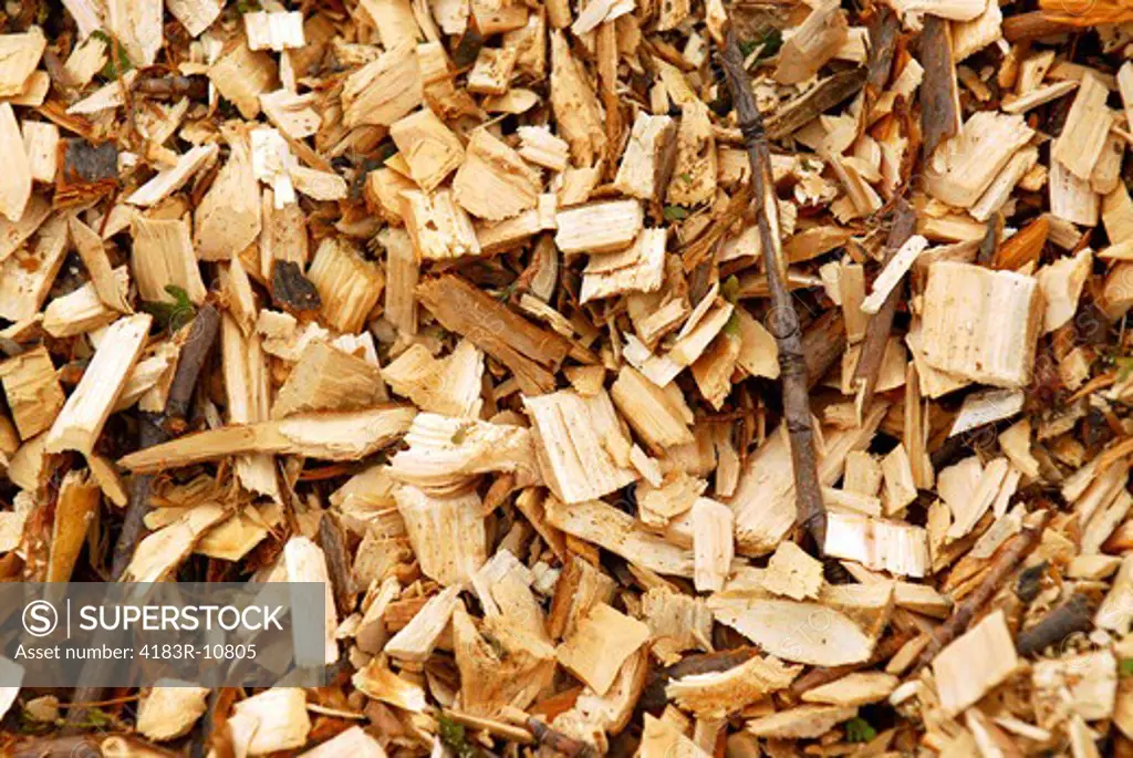 Background of freshly made yellow wood chips