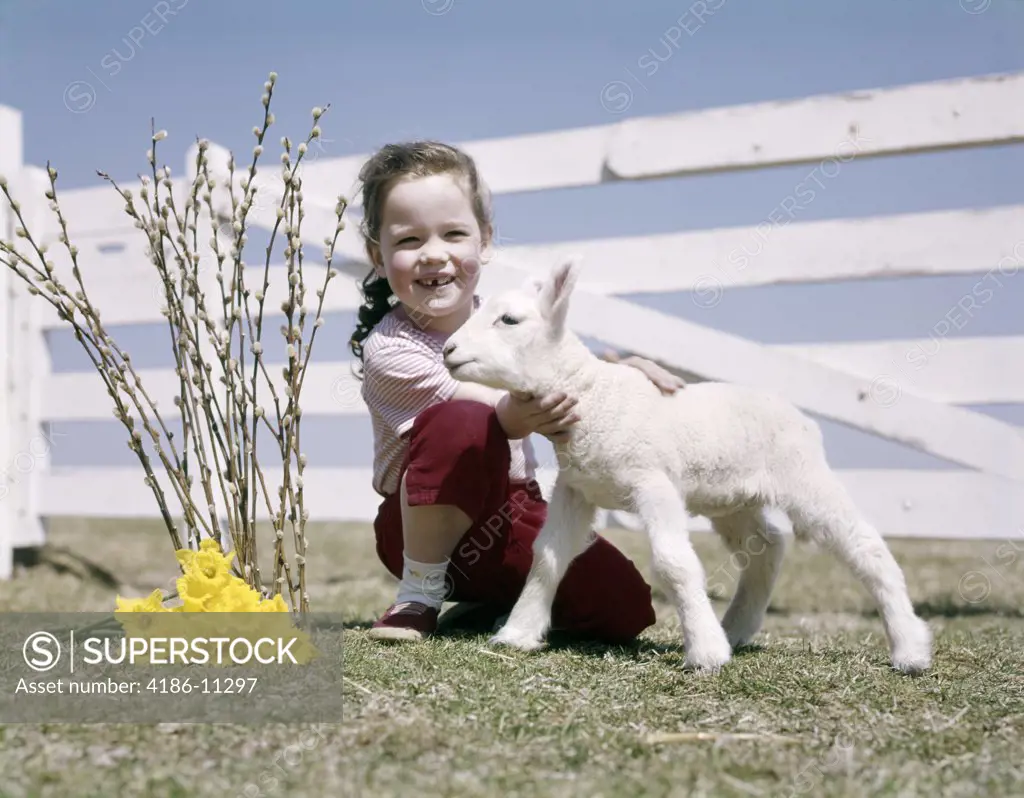 1960S Smiling Girl Holding Spring Lamb Fence Daffodils Pussy Willow
