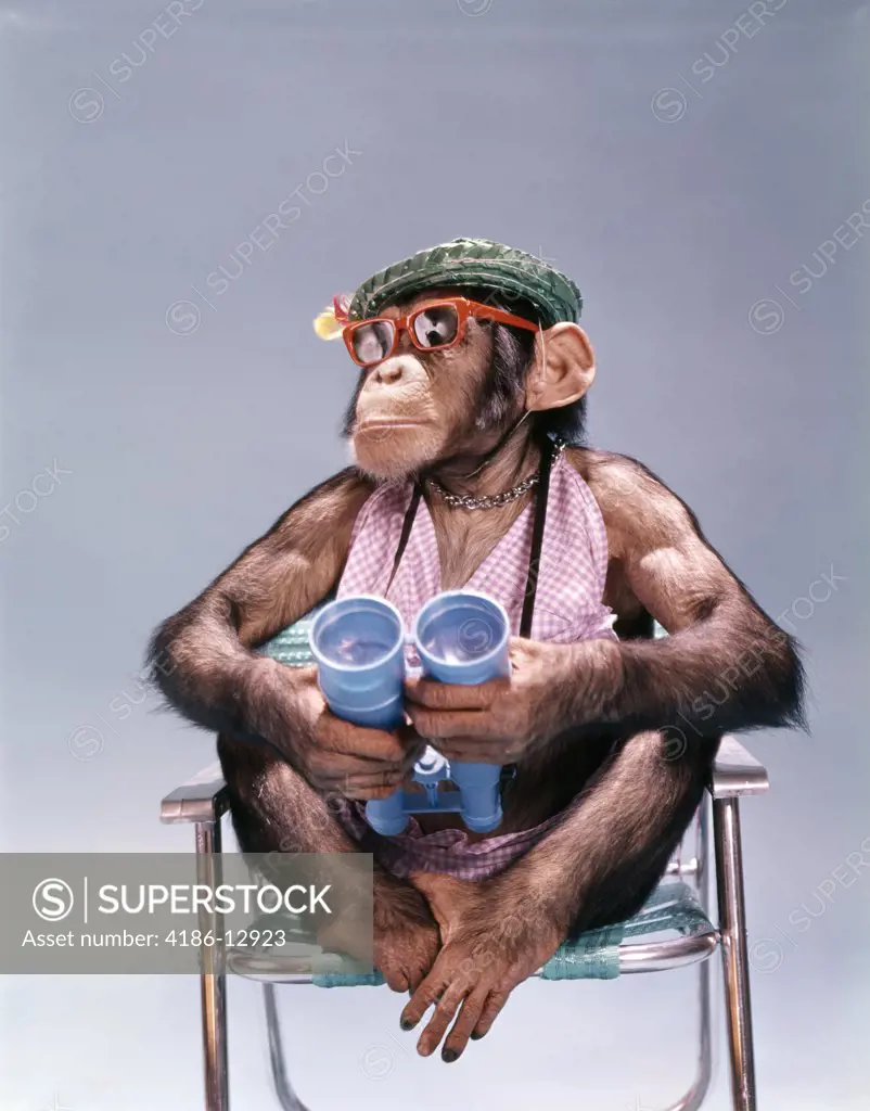 1960S 1970S Chimpanzee Holding Binoculars Wearing Hat Sunglasses Sitting Beach Chair