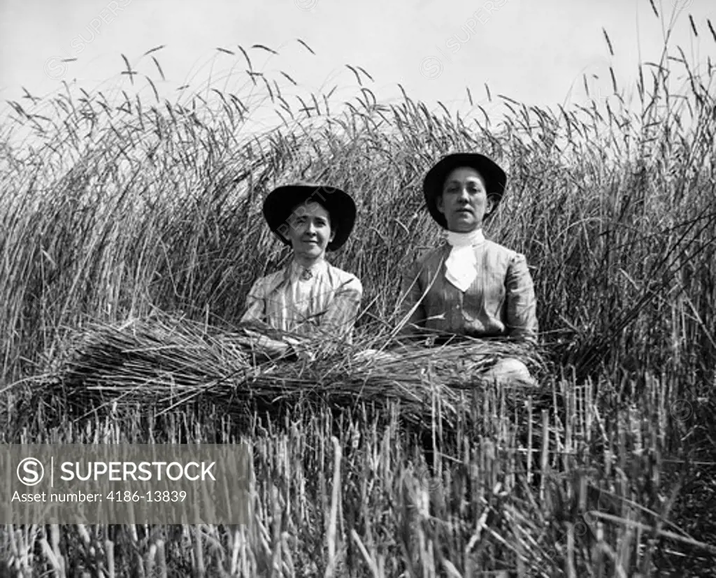 Turn Of The Century Two Women In Middle Of High Wheat Field