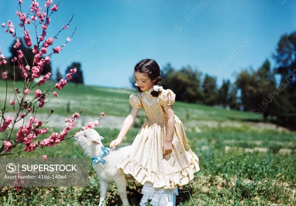 1950S Smiling Girl Wearing Ruffled Dress Petting Lamb By Tree Springtime Easter