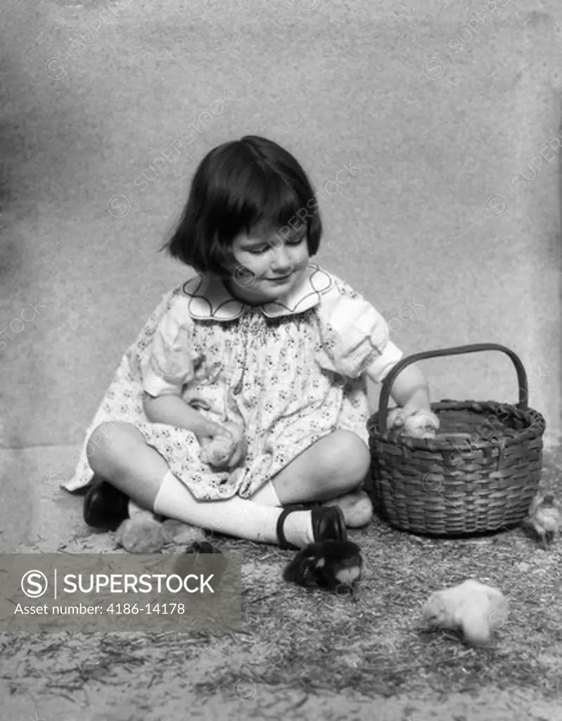 1920S 1930S Girl Sitting Next To Basket On Straw Playing With Chicks