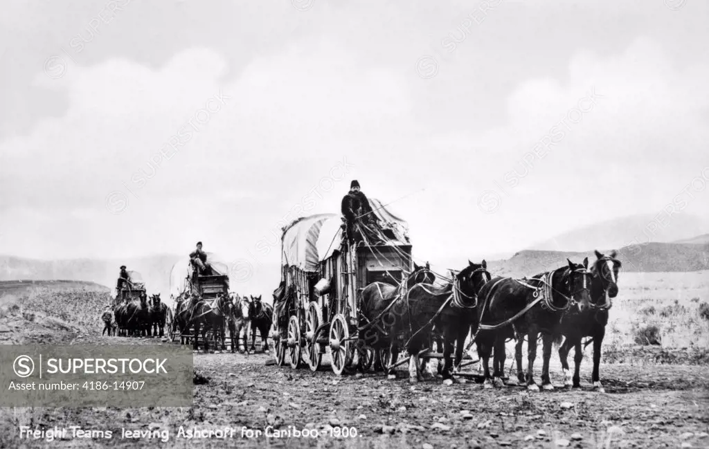 1900S Old Post Card Of Covered Wagon Freight Teams Leaving Ashcroft For Cariboo Canada