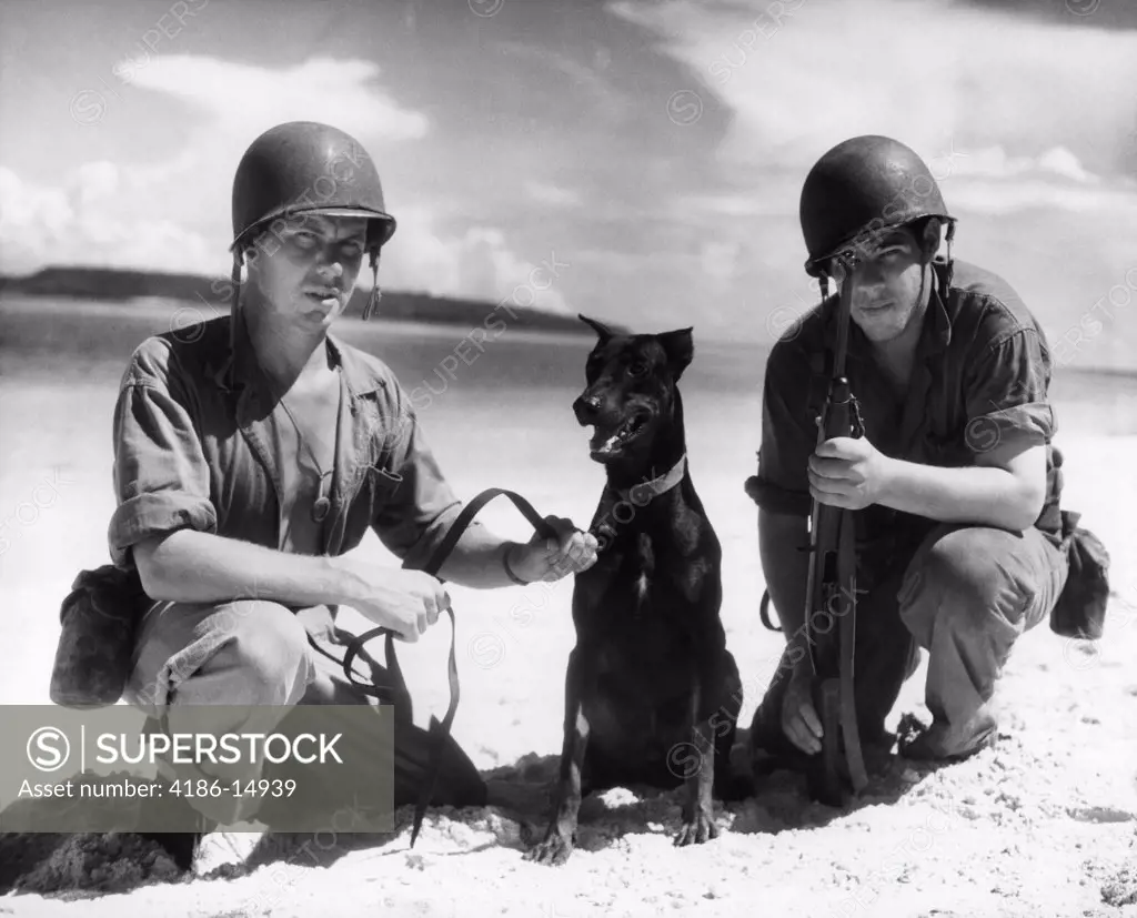 1940S Wwii Soldiers War Dog Doberman Pinscher