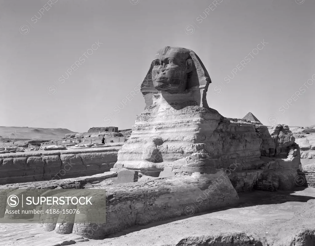 1950S The Sphinx At The Giza Pyramids Cairo Egypt
