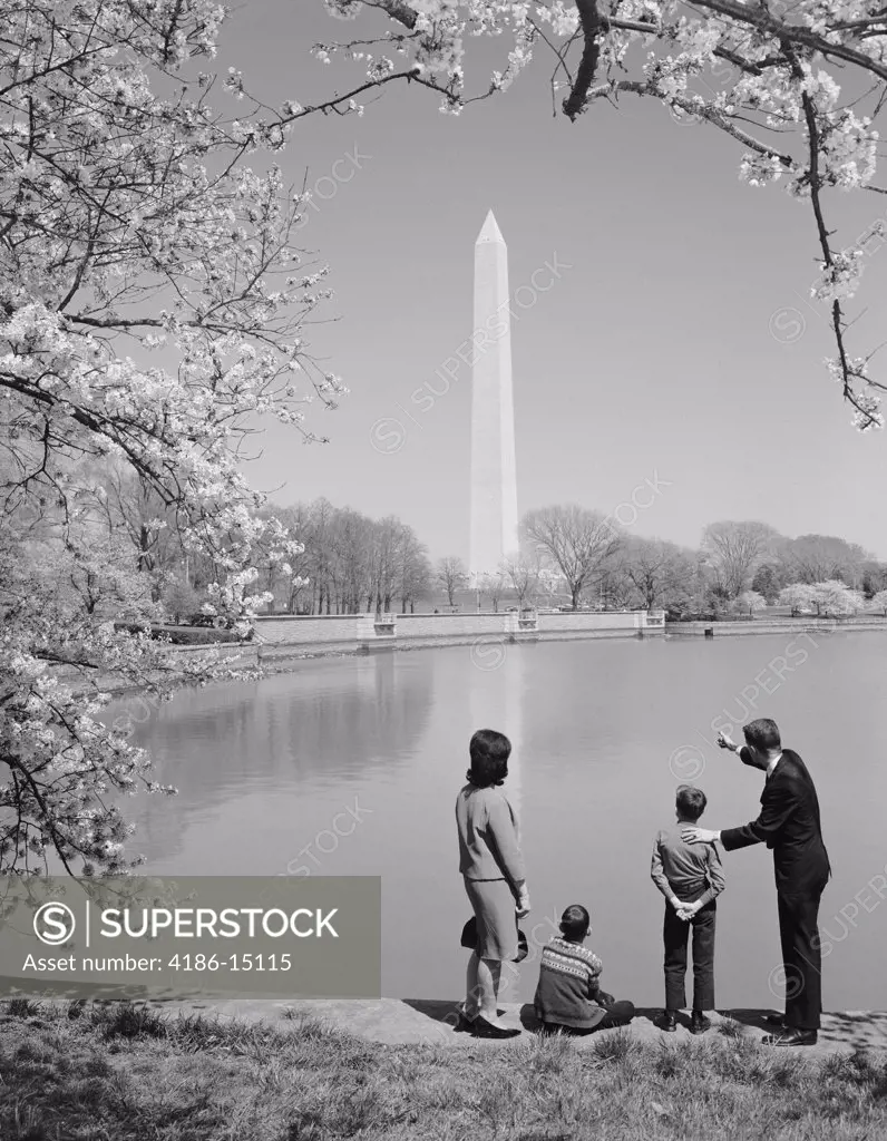 1960S Family Mother Father Two Boys In Washington Dc Looking At Washington Monument Amid Cherry Blossoms 