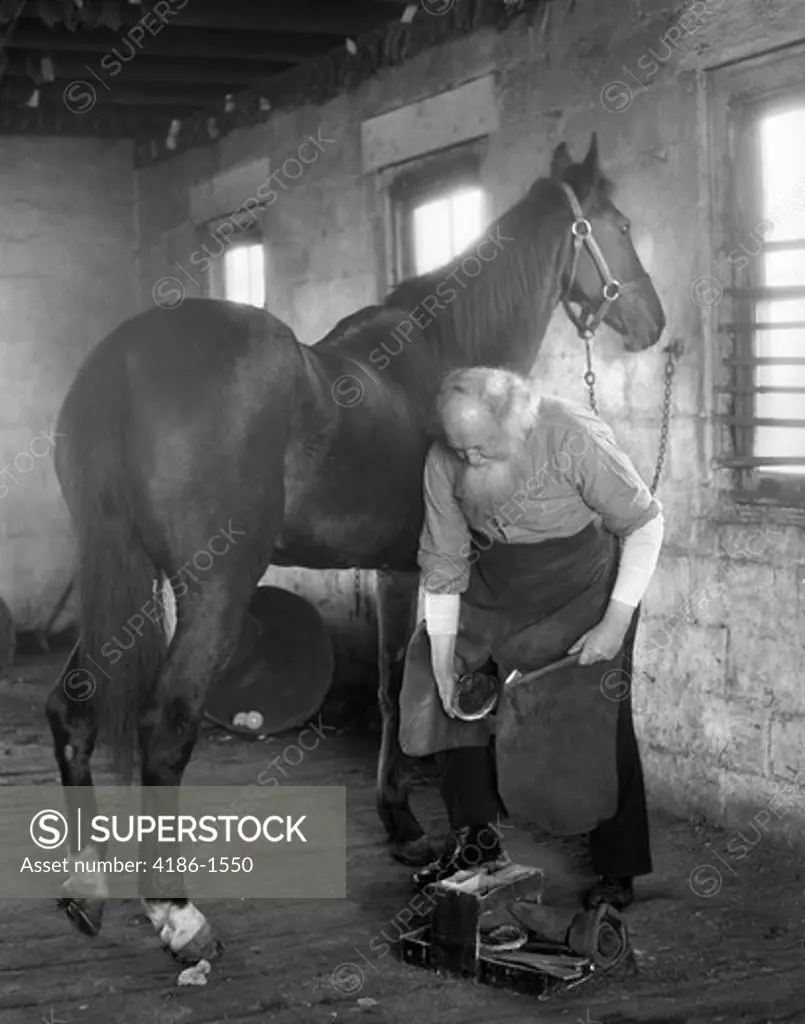 1930S Elderly Bearded Blacksmith Holding Horse'S Hoof Between Legs & Hammer In Other Hand