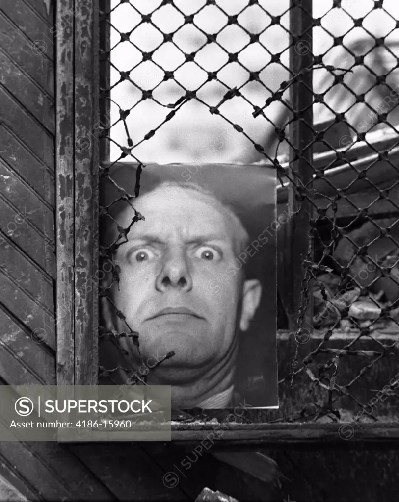 Still Life Of Photo Of Man With Crazed Expression Placed In Window With Chicken Wire Partly Torn Away
