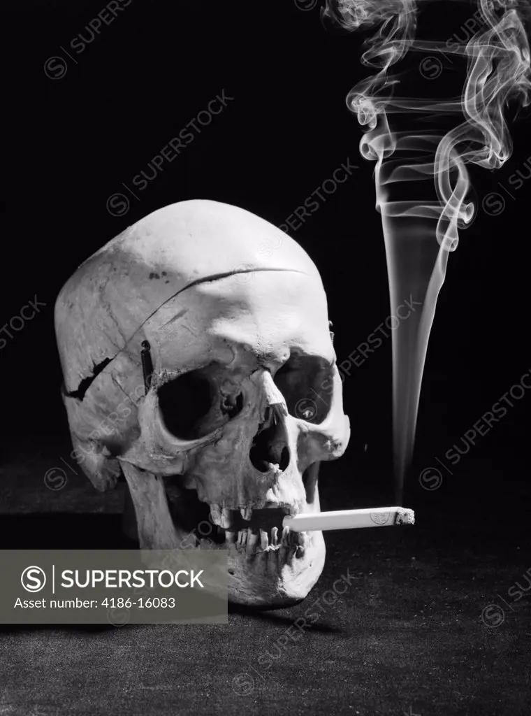 Still Life Of Skull Smoking A Cigarette Indoor