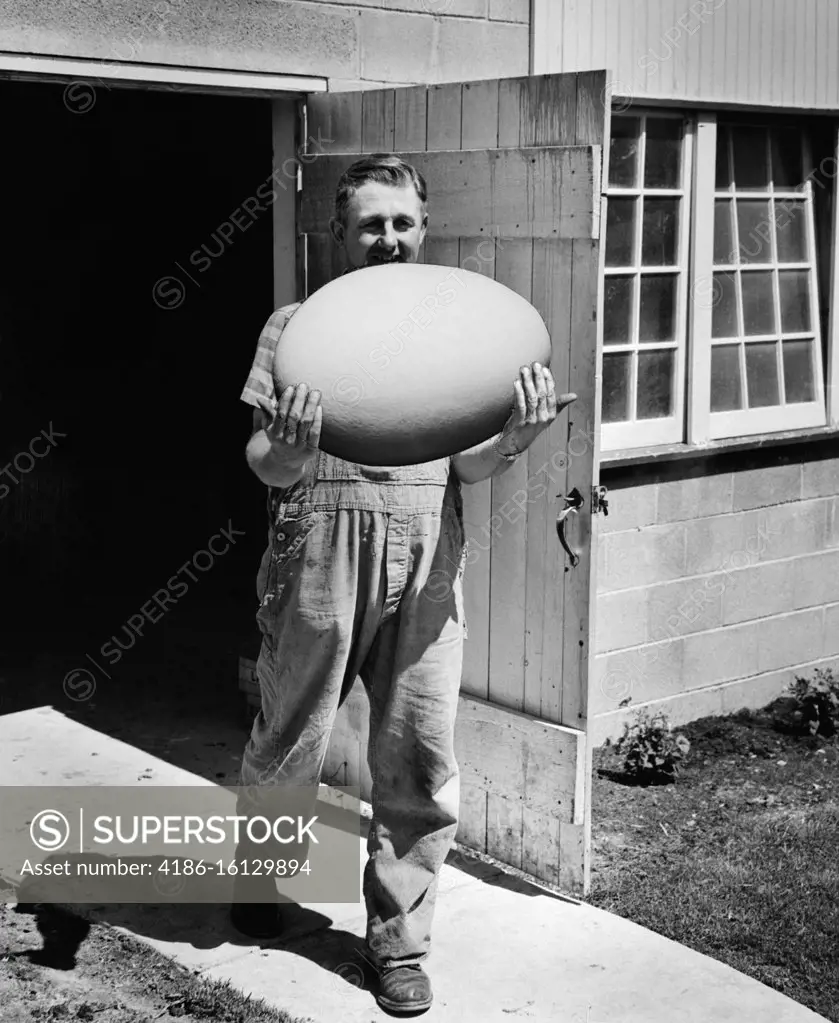 1950s MAN IN OVERALLS WALKING OUT OF BARN CARRYING MASSIVE EGG