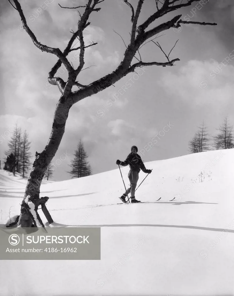 1930S Silhouette Of Woman Cross Country Skier Near Old Tree
