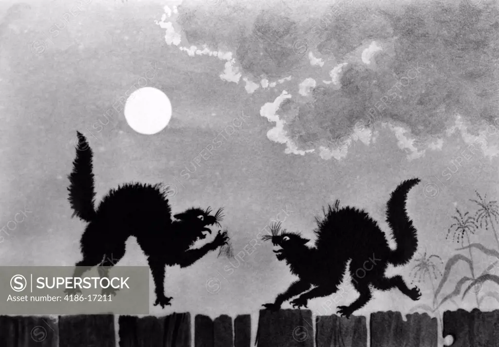 Illustration Two Black Cats On Fence Under Moon Fighting
