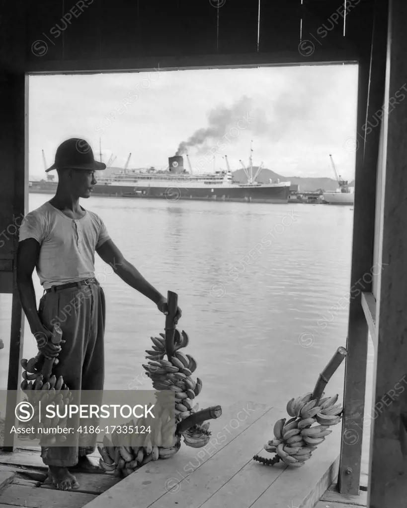1950s DOCK WORKER MAN ANONYMOUS SILHOUETTED STANDING HOLDING STALKS OF BANANAS READY TO LOAD FOR EXPORT SANTOS BRAZIL 