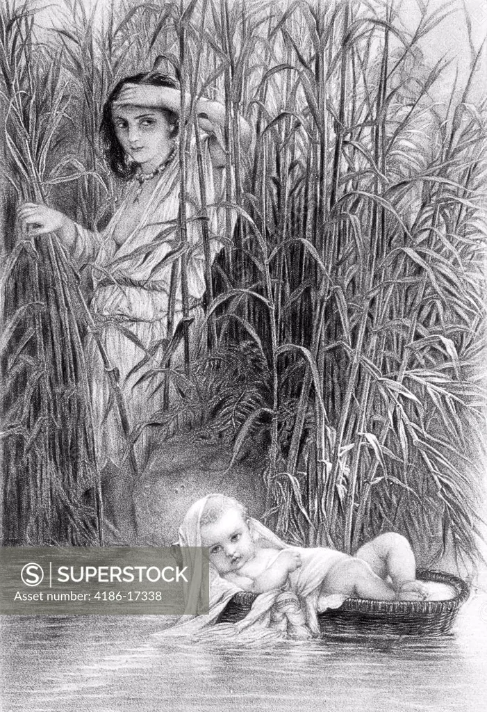 Baby Moses In The Bullrushes Vintage Engraving