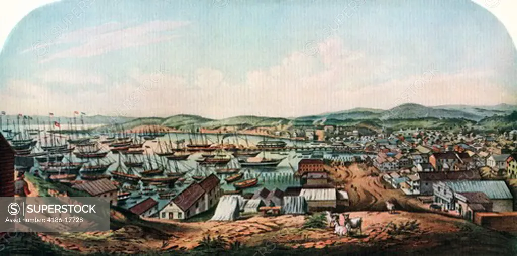 1800S, 1850 View Of San Franciso & Port From Telegraph Hill After A Sketch By Mcmurtrie