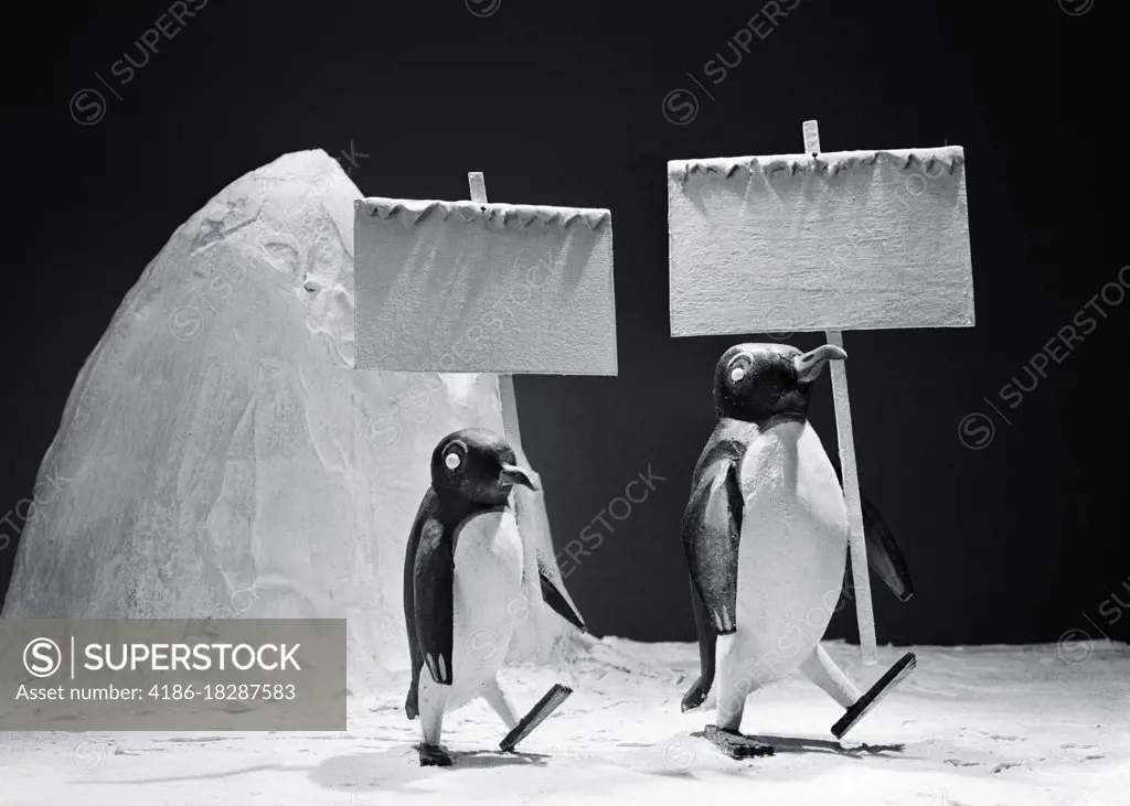 1930s TWO PENGUIN FIGURES MARCHING WITH BLANK EMPTY PLACARDS PROTEST SIGNS