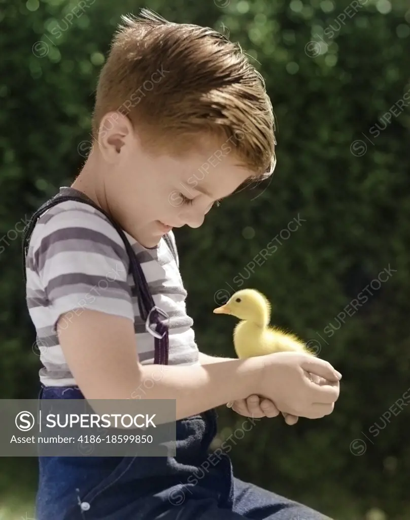 1950s BOY HOLDING BABY DUCK SMILING SUMMER OUTDOOR