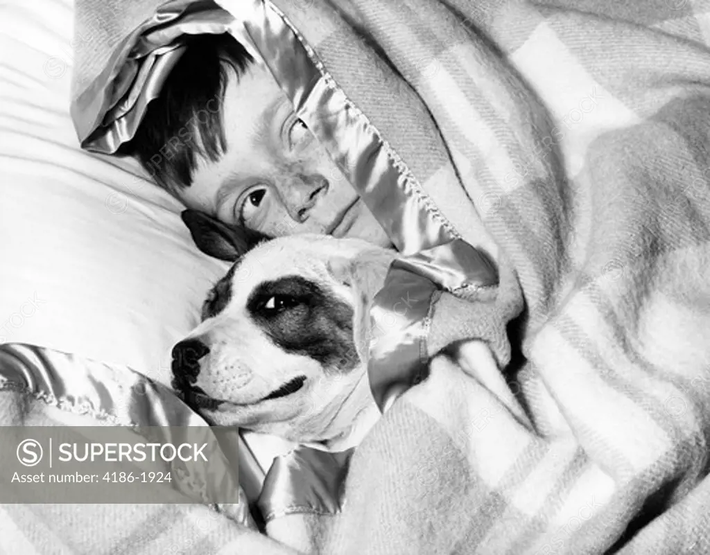 1950S Boy Hiding Under Blanket In Bed With Dog