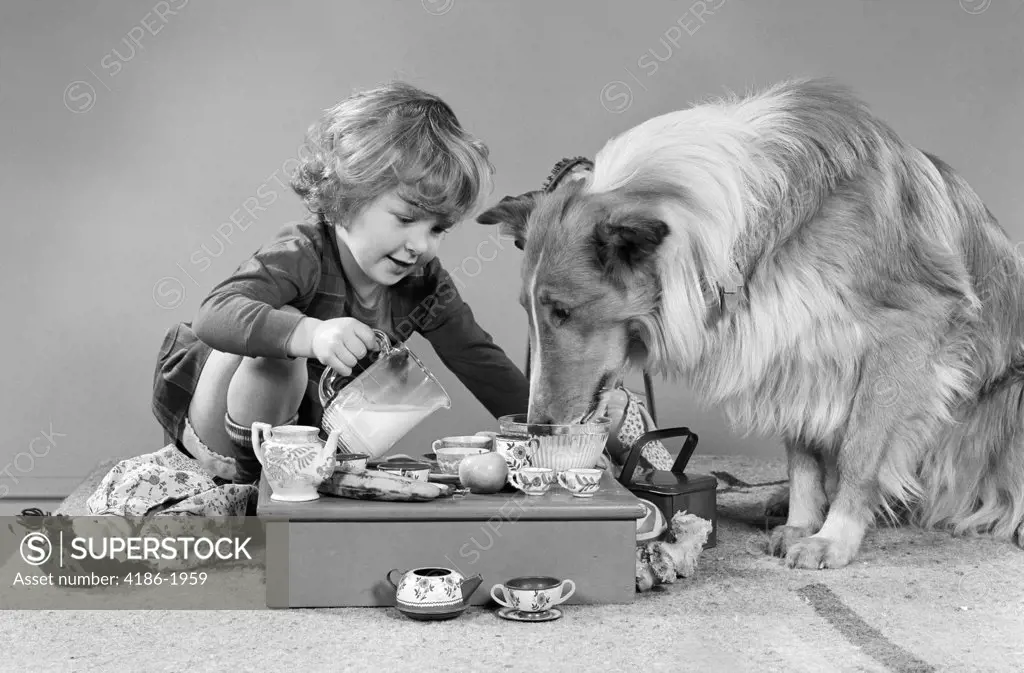Little Girl Pouring Milk At Tea Party For Collie Dog Studio