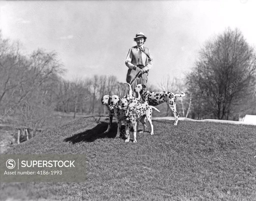 1930S Woman Walking Four Leashed Dalmatian Dogs