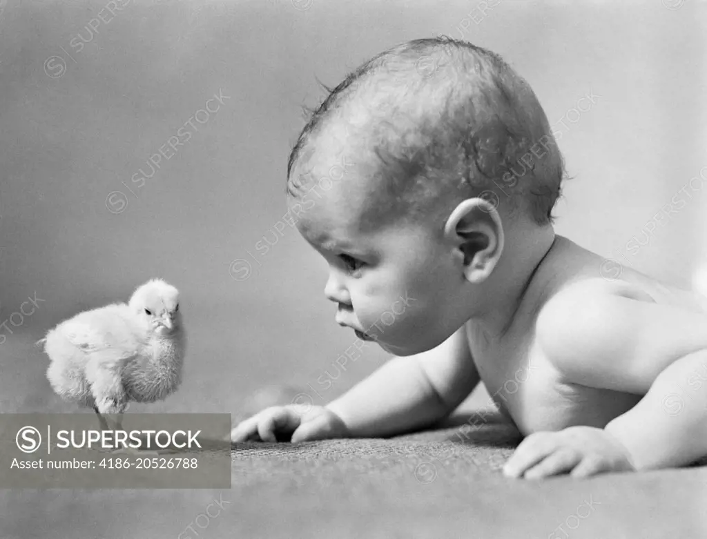 1930s HUMAN BABY FACE TO FACE WITH BABY CHICK