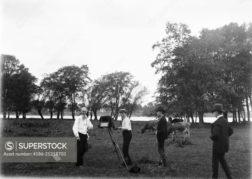 1890s 1900s MAN PHOTOGRAPHER USING LARGE FORMAT CAMERA PHOTOGRAPHING COWS IN FIELD WITH THREE TEENAGED BOYS ASSISTANTS