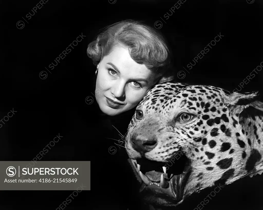 1950s DRAMATIC FACE SHOT WOMAN LOOKING AT CAMERA POSING WITH FIERCE STUFFED LEOPARD HEAD 
