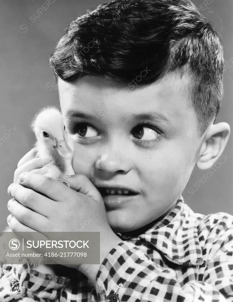 1950s LITTLE BOY HOLDING TINY PET DUCKLING UP TO HIS FACE