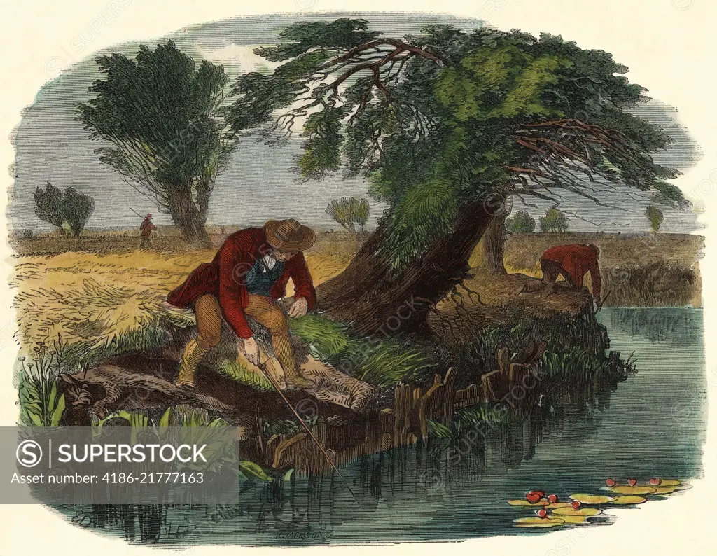 1800s 19TH CENTURY DRAWING OF MEN SNIGGLING FOR EELS IN RIVER FISHING WITH  WORM ON A STICK - SuperStock