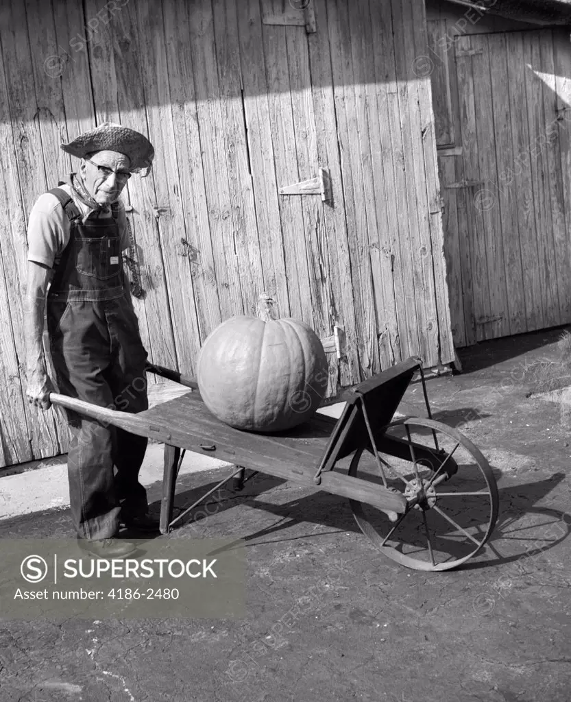 Elderly Farmer In Overalls & Straw Hat Pushing Old Wooden Wheelbarrow With Huge Pumpkin On It