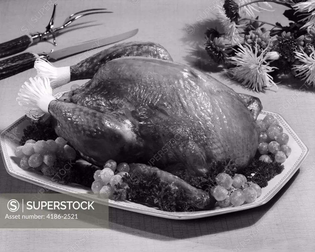 Thanksgiving Turkey Dinner 