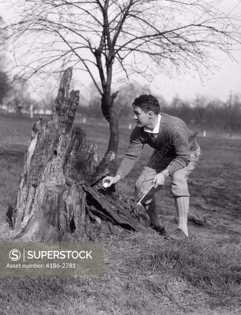 1930S Man Golfer Taking Golf Ball Out Of Burned Out Tree Stump Trunk Rules Fair Play Golfing
