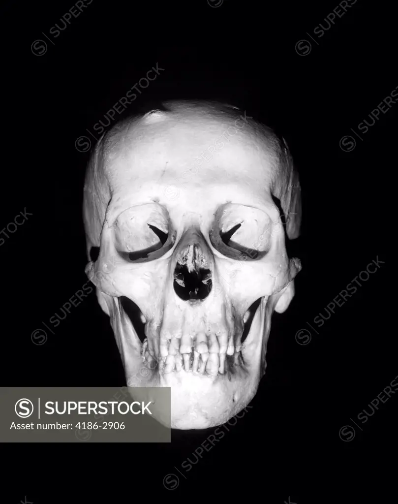 Still-Life Of Skull Floating In Black Background